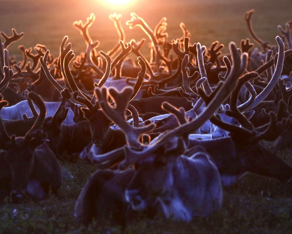 Photograph by Наталья Филькина