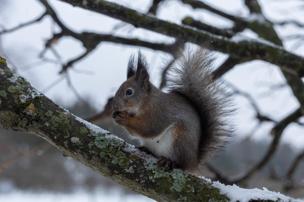 Photograph by Olga Min