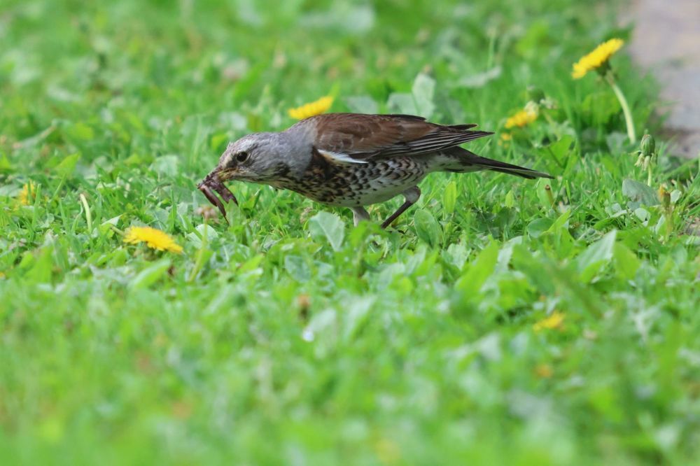Photograph by Валерий Черняк