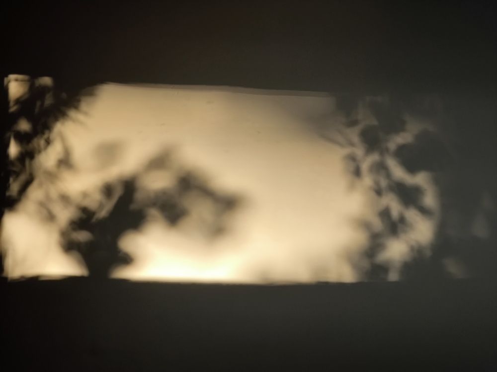 Photograph by Larisa Teshukova-Goretta