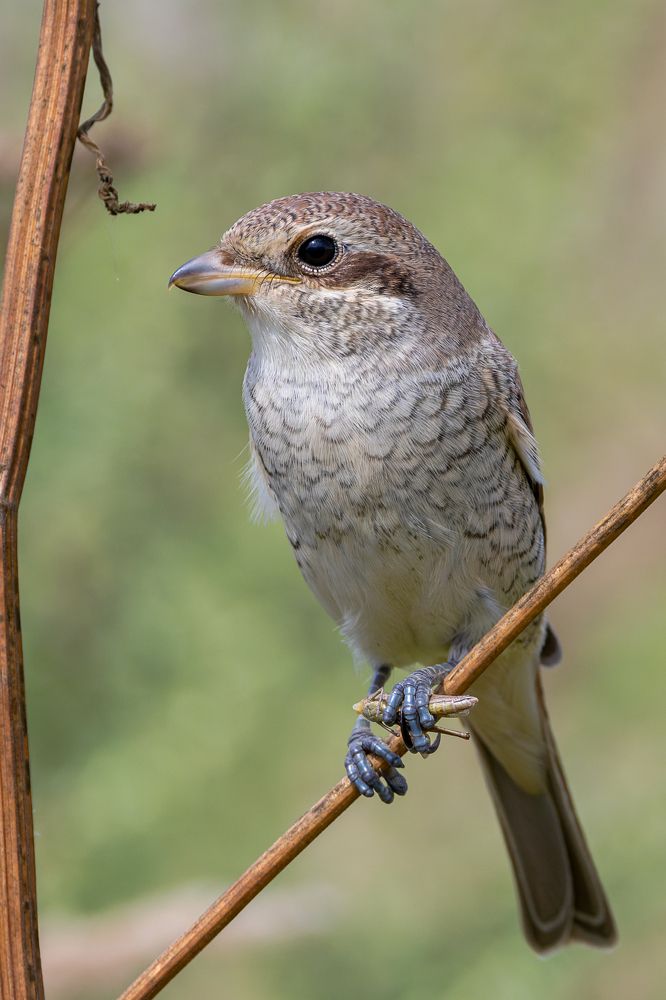 Photograph by Вера Машина