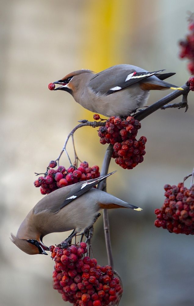 Photograph by Валерий Черняк