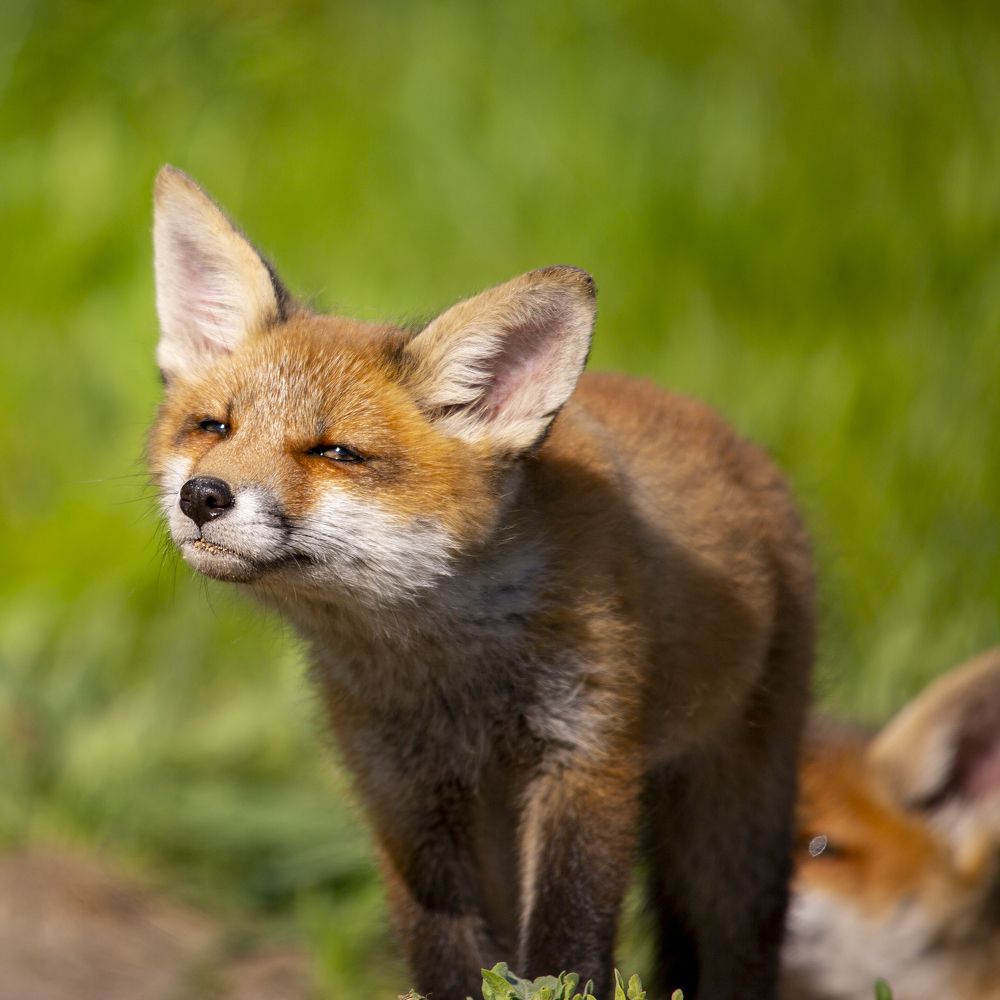 Photograph by Валерий Черняк