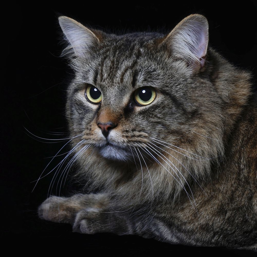 Photograph by Елена Лапочкина