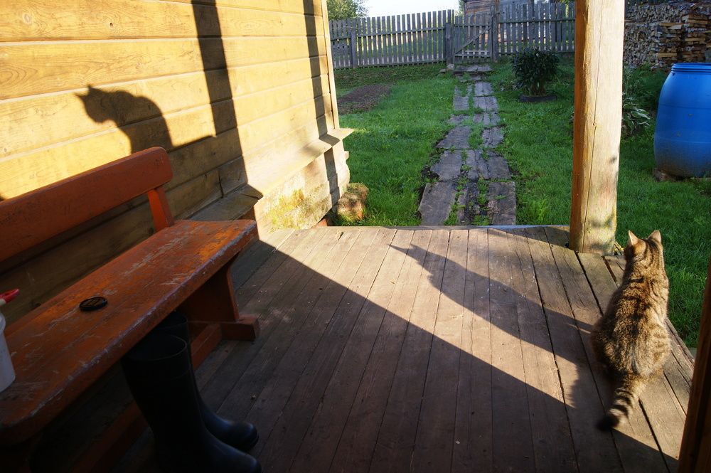 Photograph by Елена