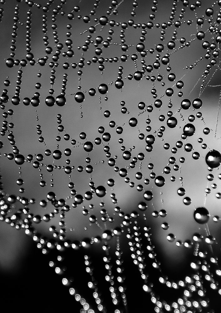 Photograph by Дмитрий Фетисов