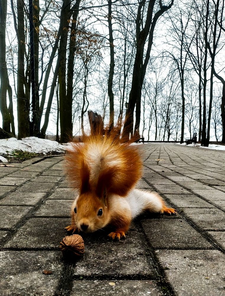 Фотография автора Юлия Якубова