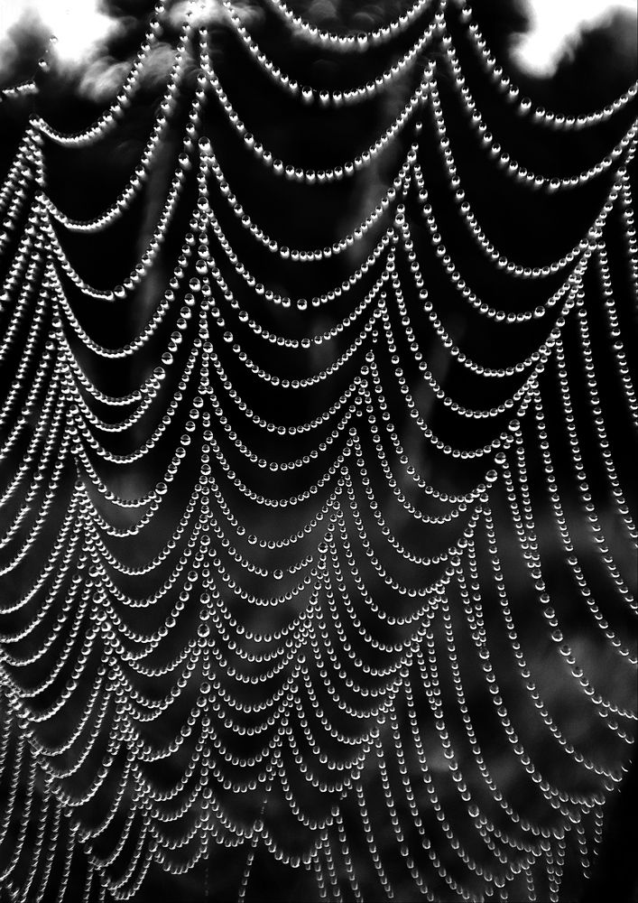 Photograph by Дмитрий Фетисов