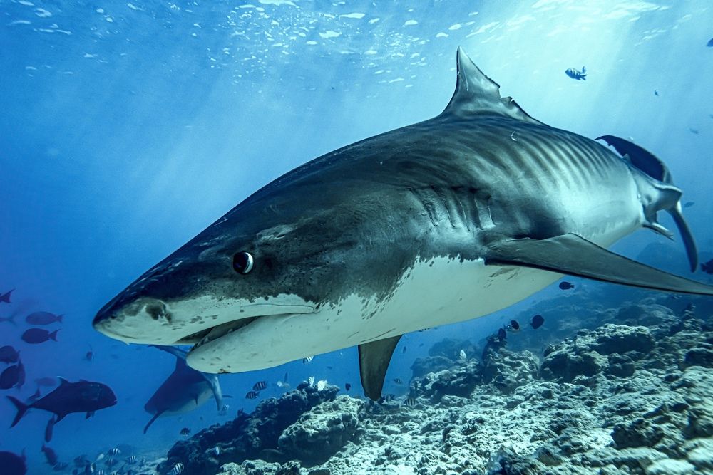 Photograph by Александр