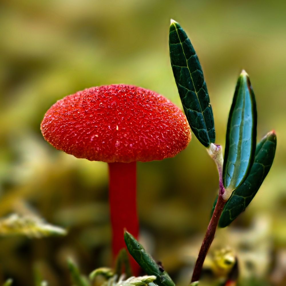 Photograph by Оксана Машкина