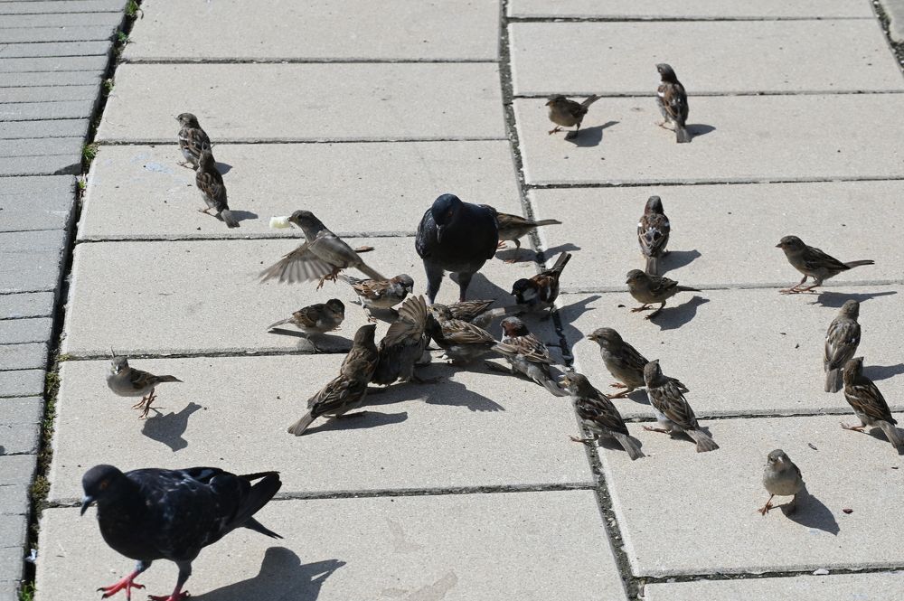 Photograph by Ольга Пумочка-13