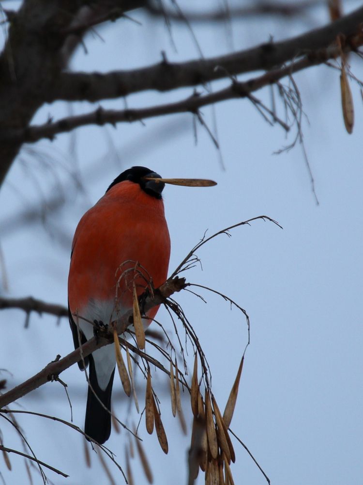 Photograph by Evgenia Korchagova