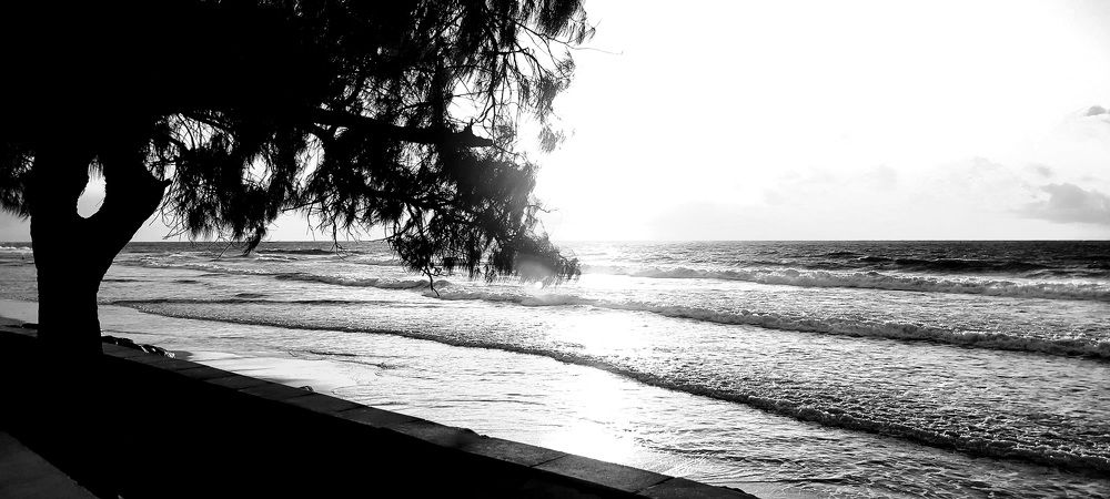 Namoro ao nascer do sol!