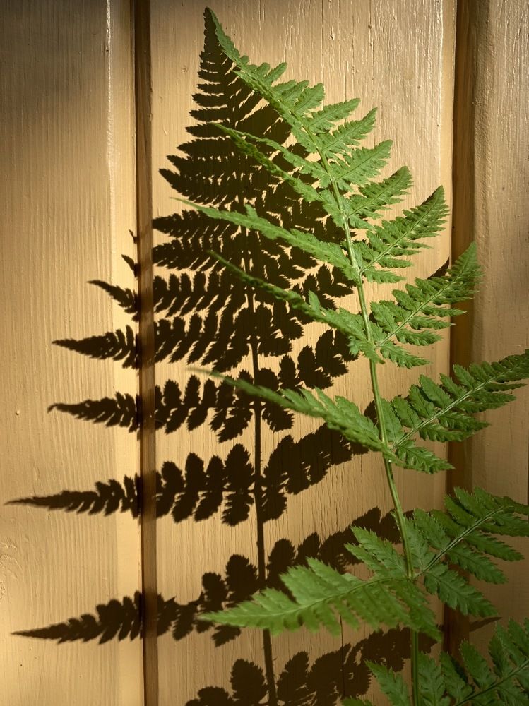 Фотография автора Olga Golubkova