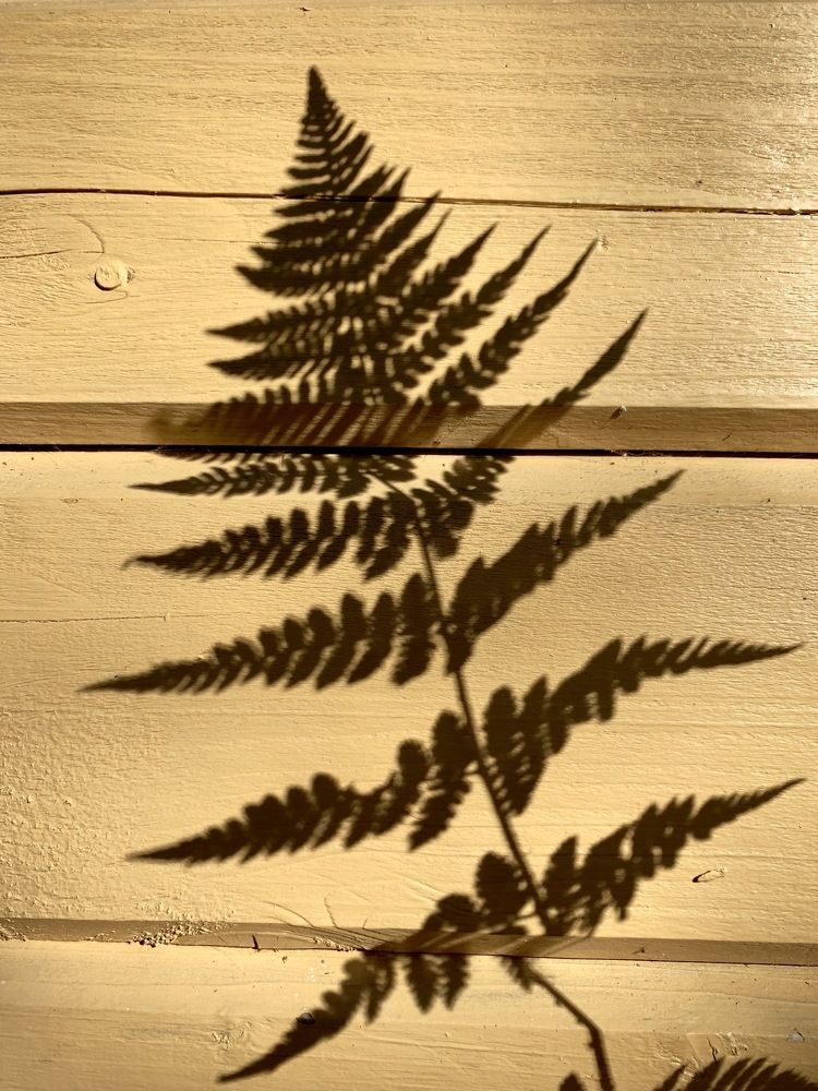 Фотография автора Olga Golubkova