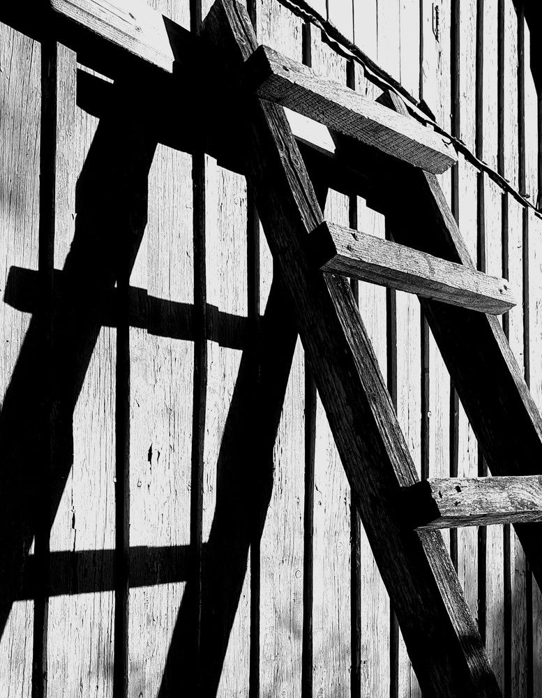 Photograph by Яна Галимуллина