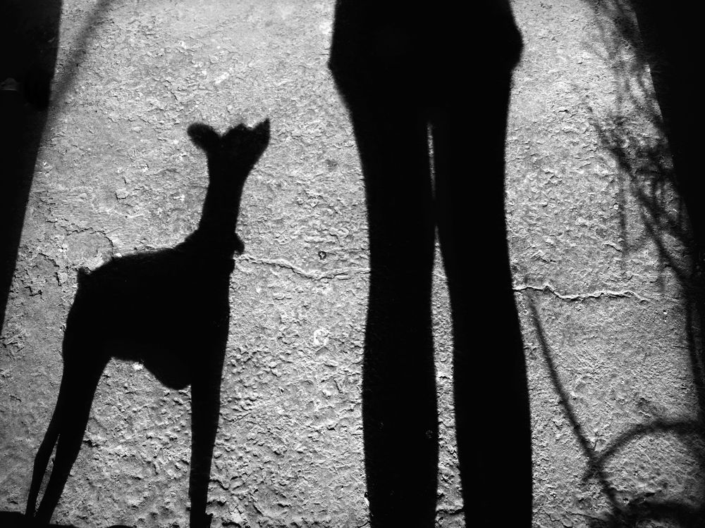 Photograph by Diana Duque