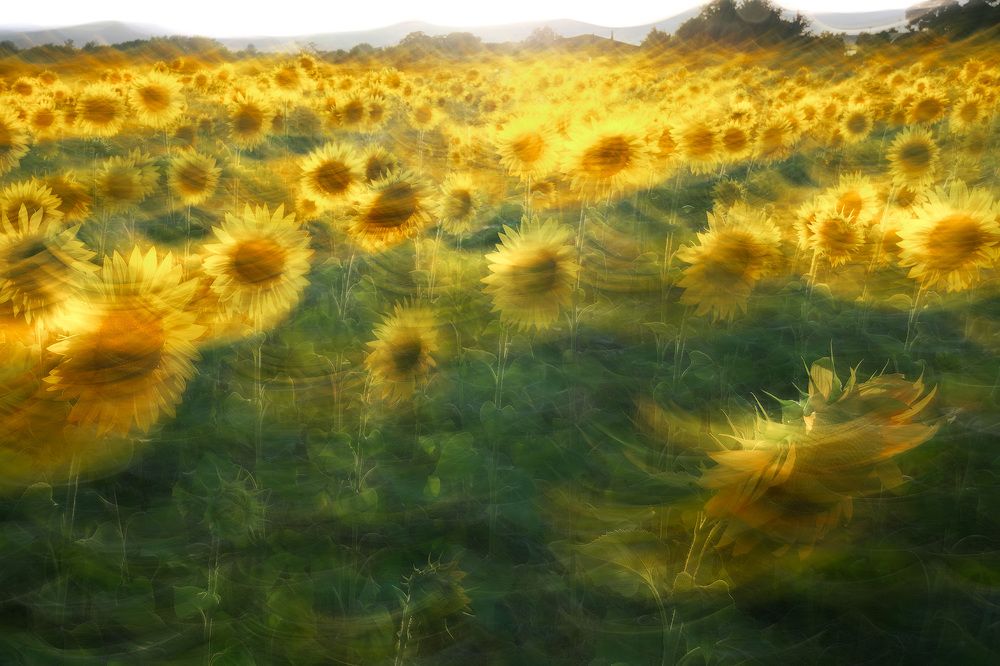 Photograph by dario camasso