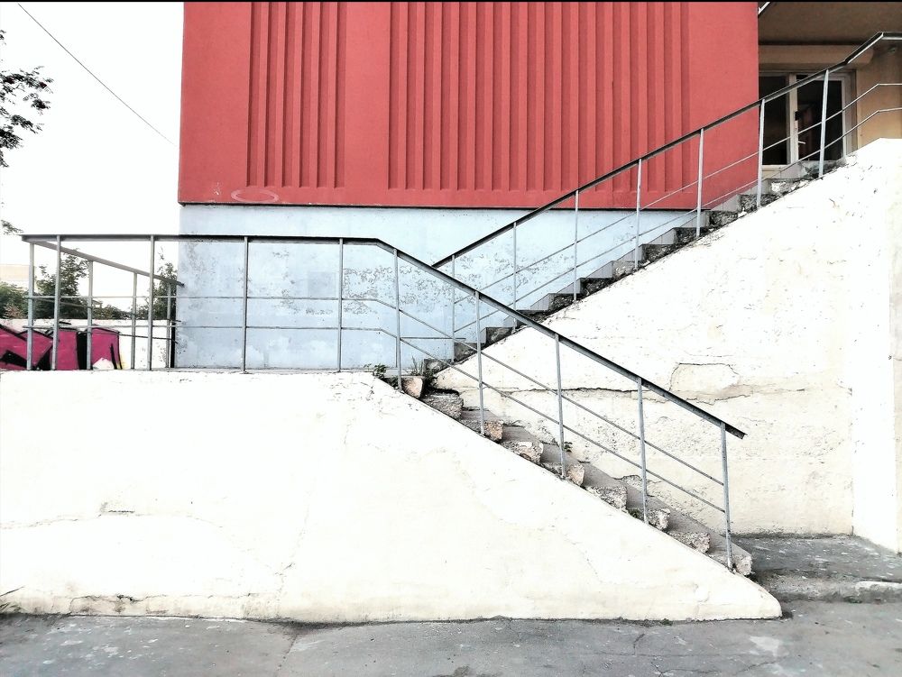 Photo #11028054