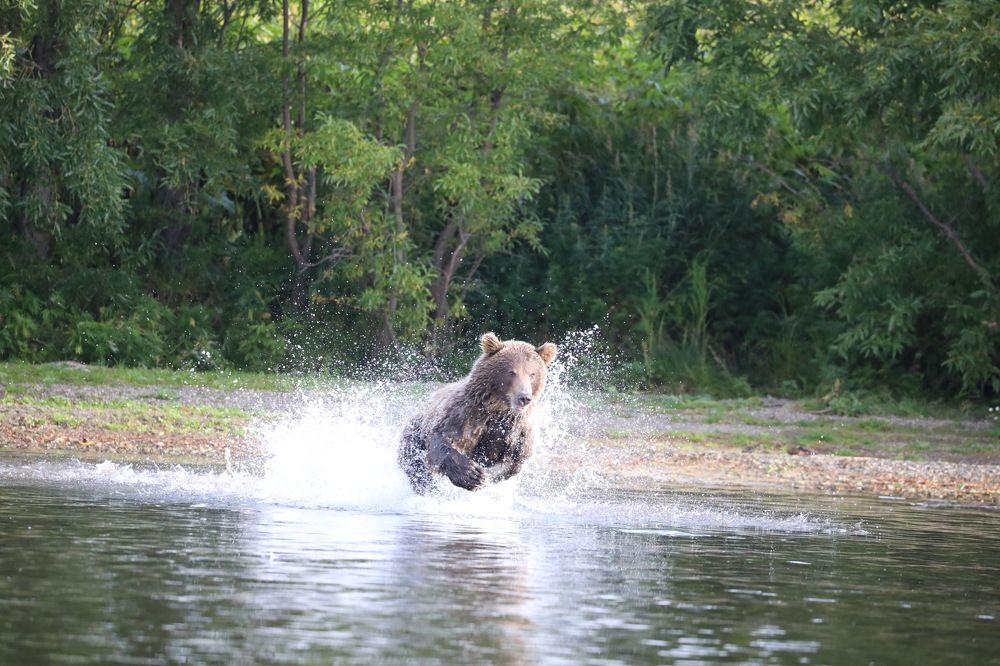 Photograph by Ольга Одаренко
