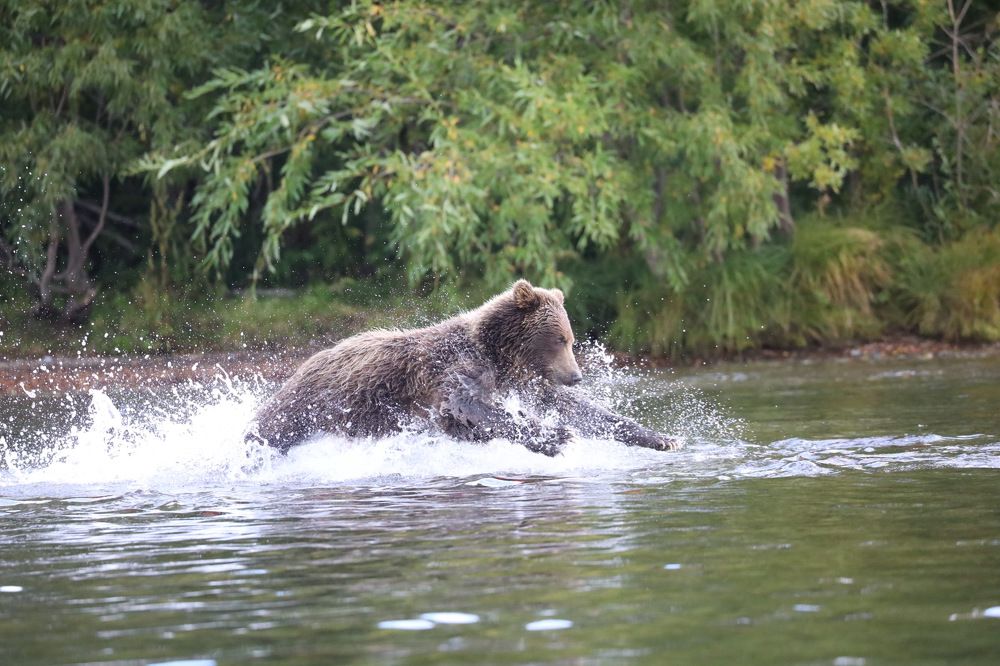 Photograph by Ольга Одаренко