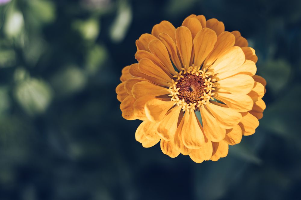 Photograph by Юрий