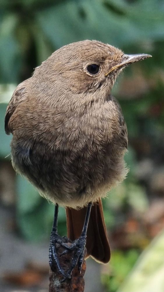 Photograph by Дмитрий Коршак