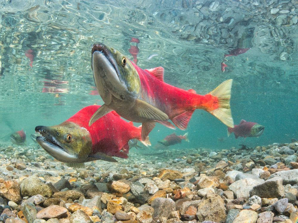 Photograph by Shuo-Wei Chang