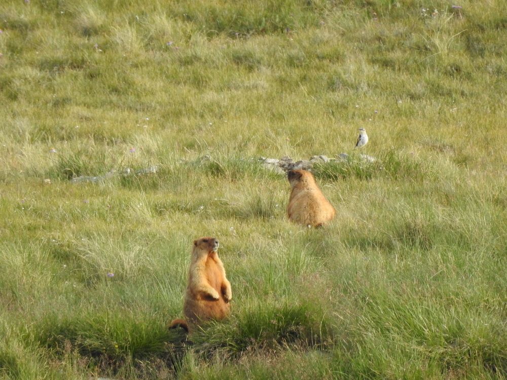 Photograph by Ольга Виноградова