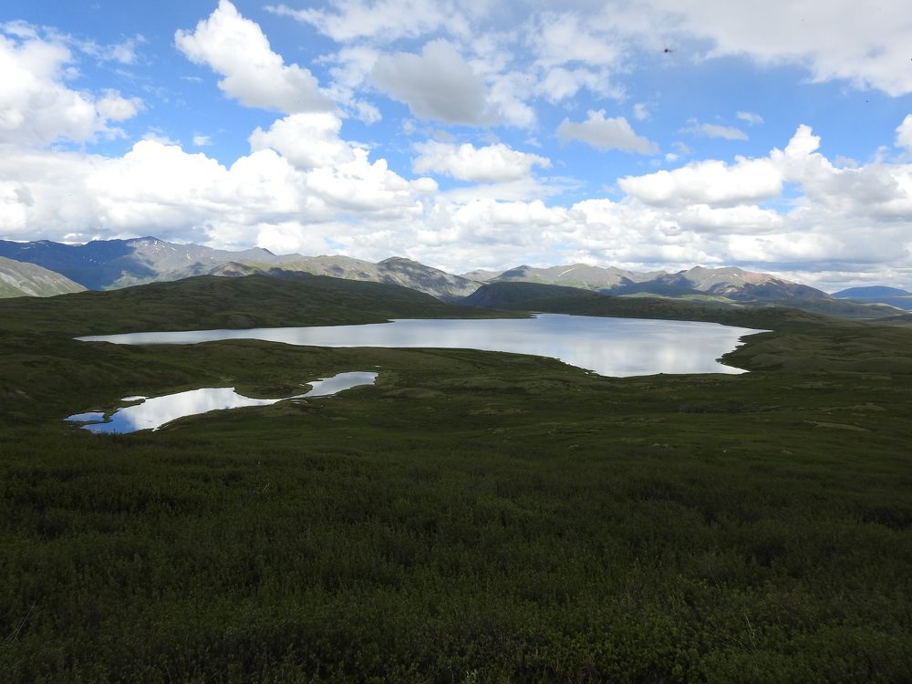 Photograph by Ольга Виноградова