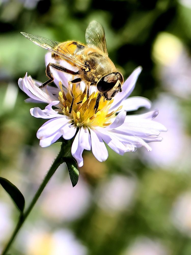 Photograph by Роман Межерицкий