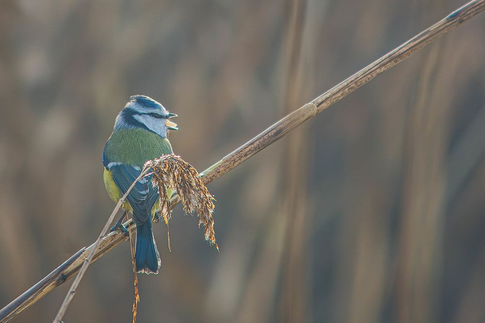 Photograph by Marianna Klein