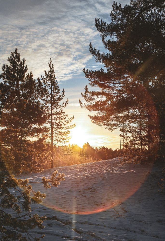 Photograph by Екатерина Кулакова