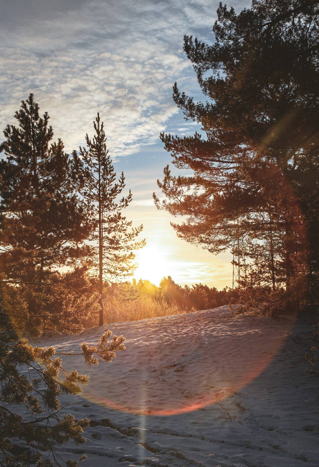 Photo #11028332