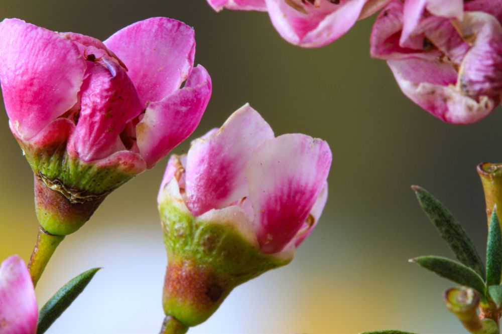 Photograph by Александр Коковихин