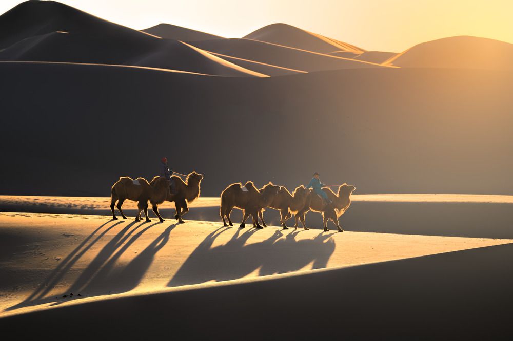 Фотография автора Trần Tiến Dũng