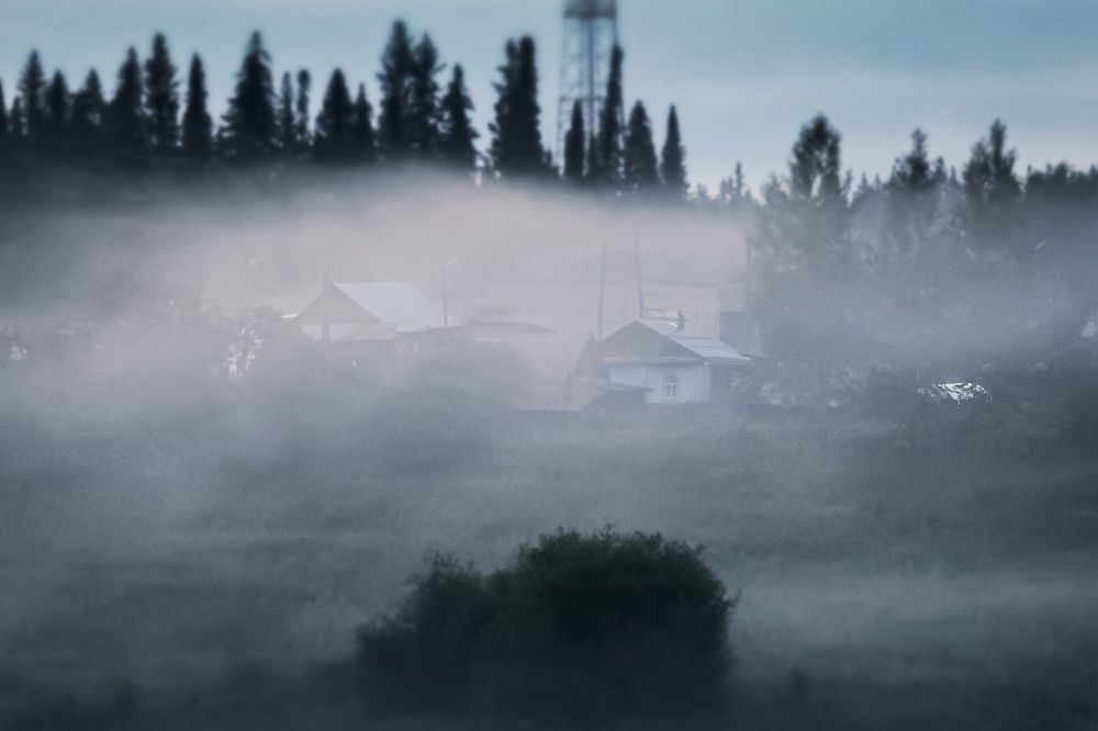 Photograph by Антонина Белозерова