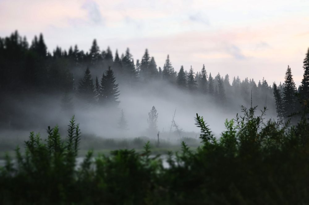 Photograph by Антонина Белозерова
