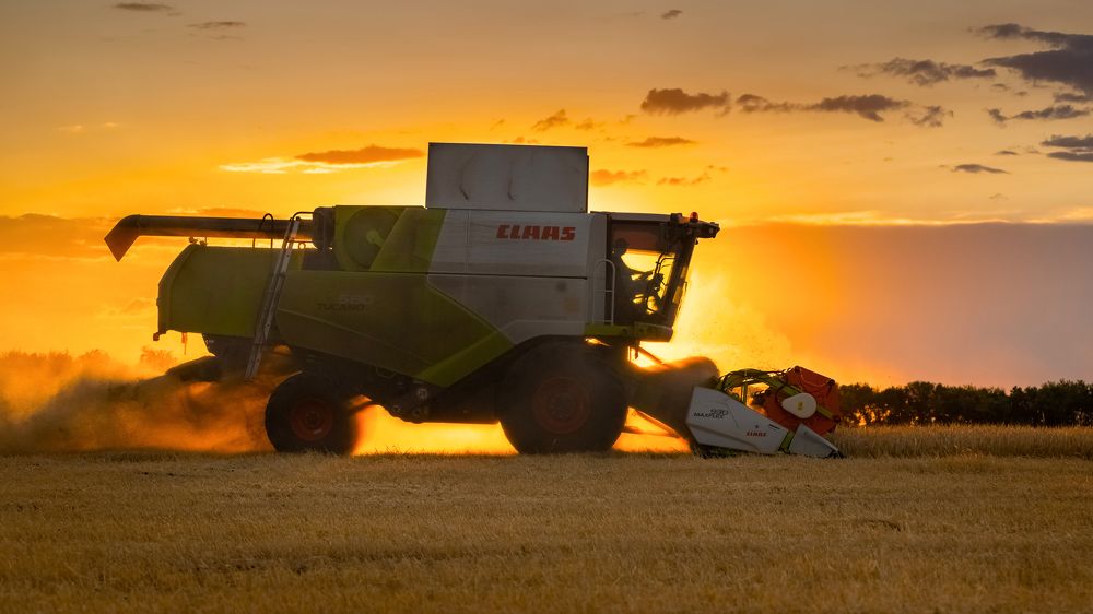 Photograph by Сергей Степанов