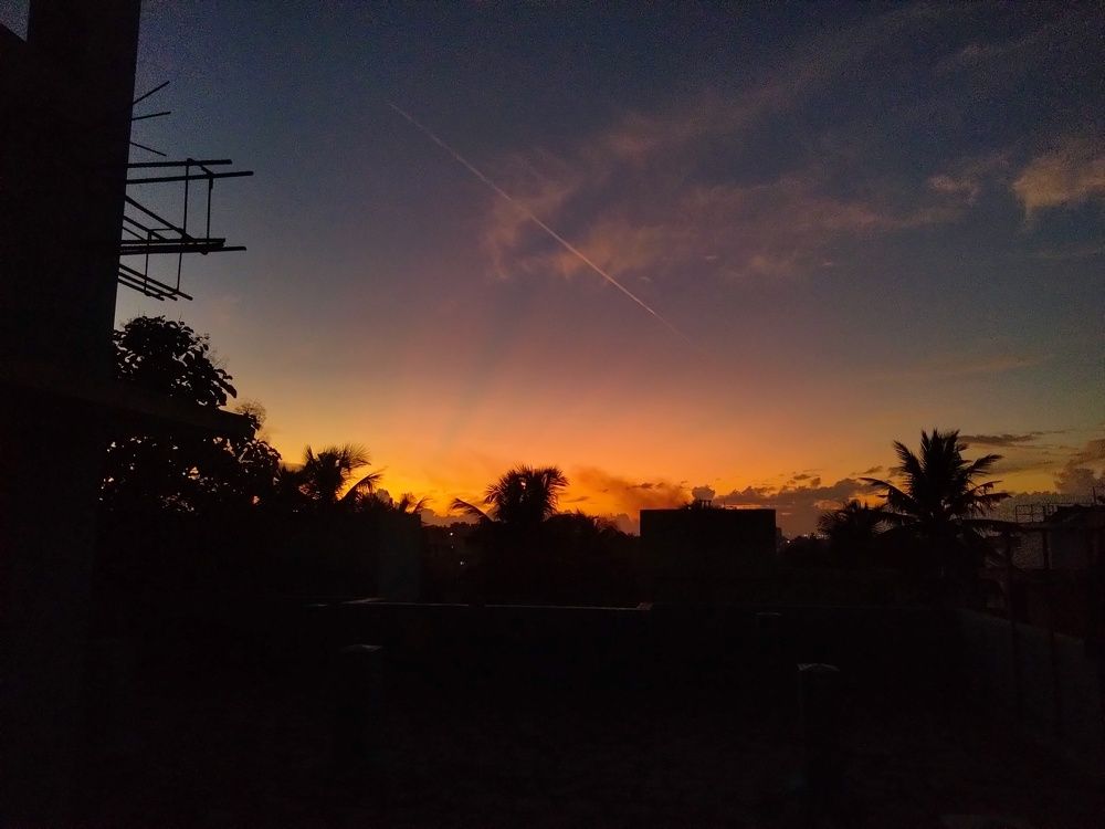 Photo #11028601