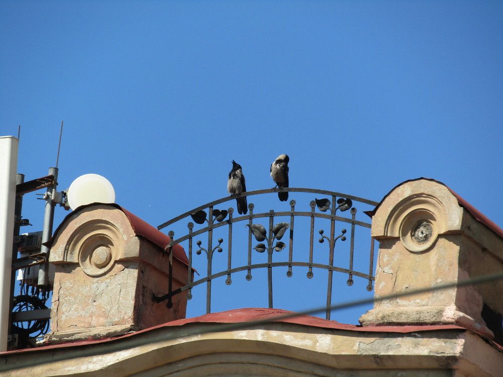 Photograph by Татьяна Смирнова