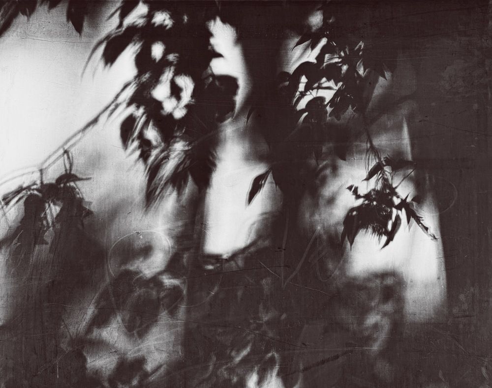 Photograph by Oxana Petlina