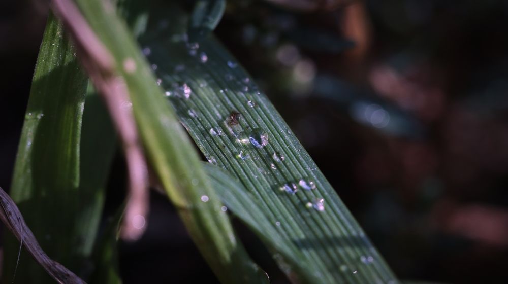 Дорога в даль