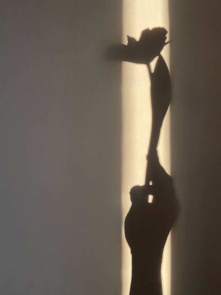 Photograph by Юлия Быстрова