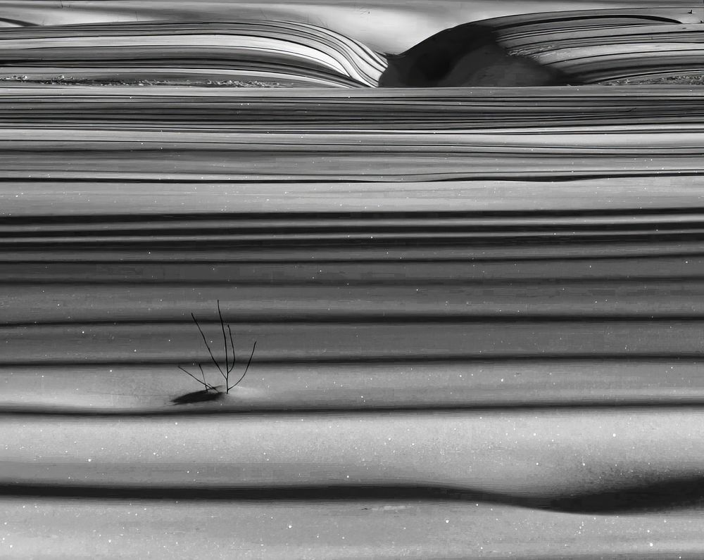 Photograph by Marina Krivitskaya