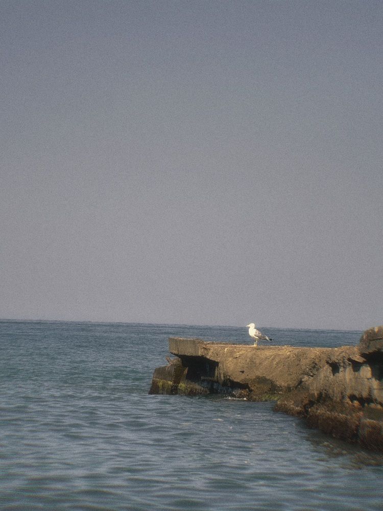 Photograph by Анастасия Щербакова