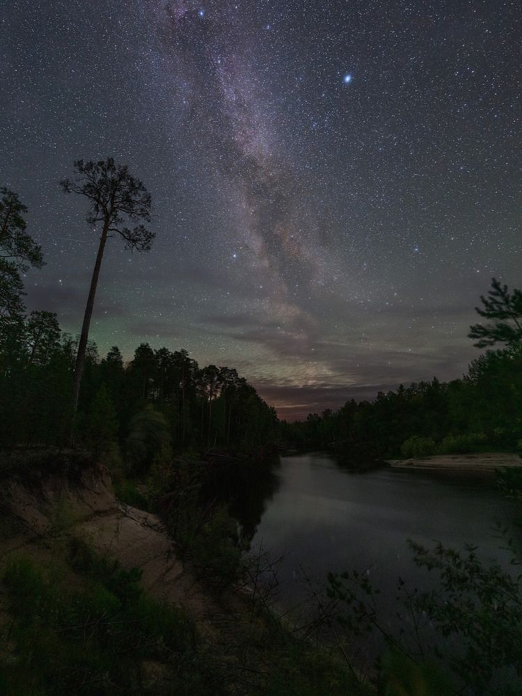 Dreams of the taiga river
