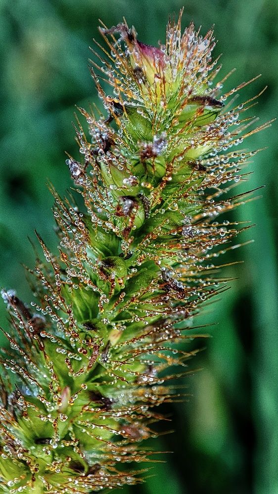 Photograph by Дина Желанова