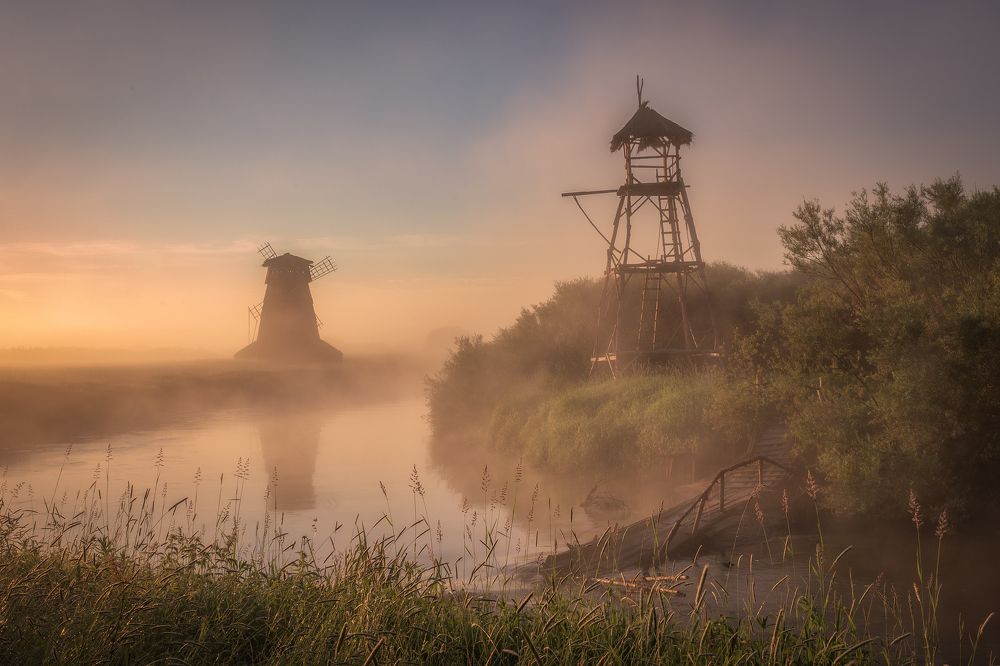 Photograph by Гусева Елена