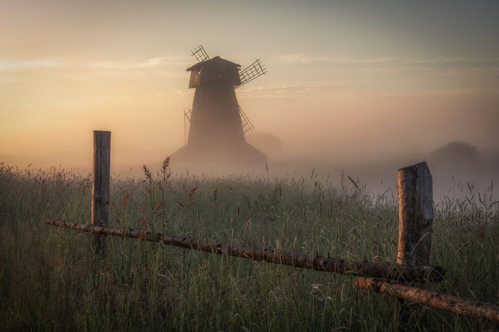 Photograph by Гусева Елена